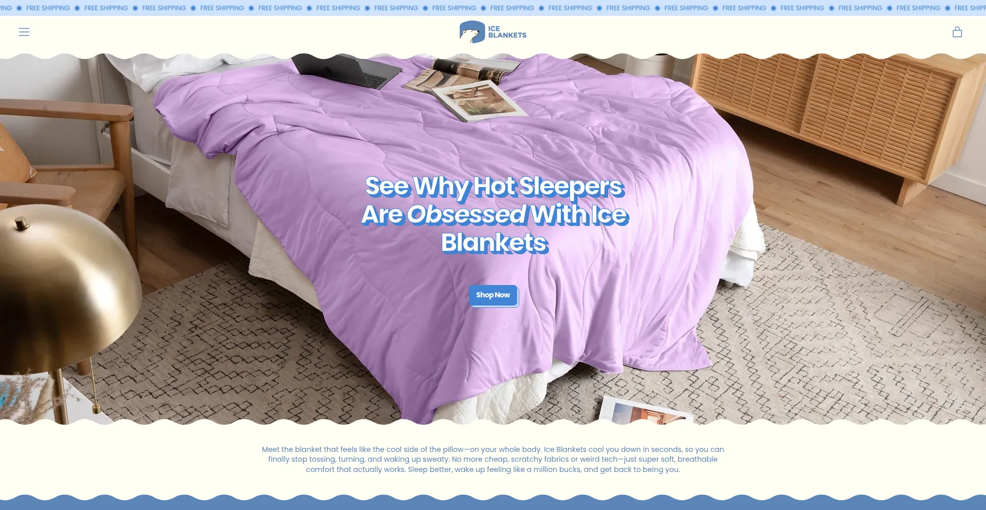 Website screenshot of Iceblankets.com