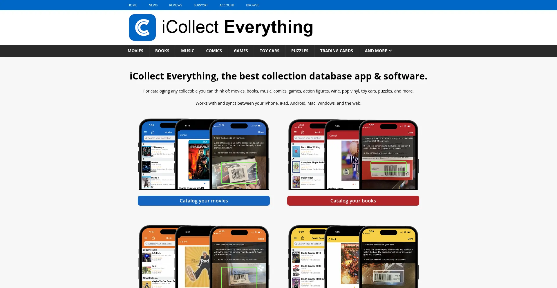 Website screenshot of Icollecteverything.com