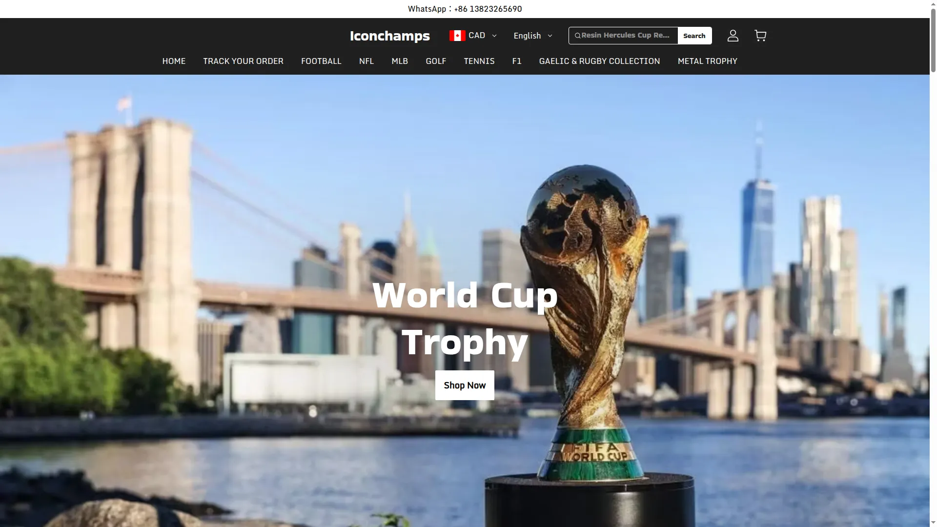 Iconchamps.com