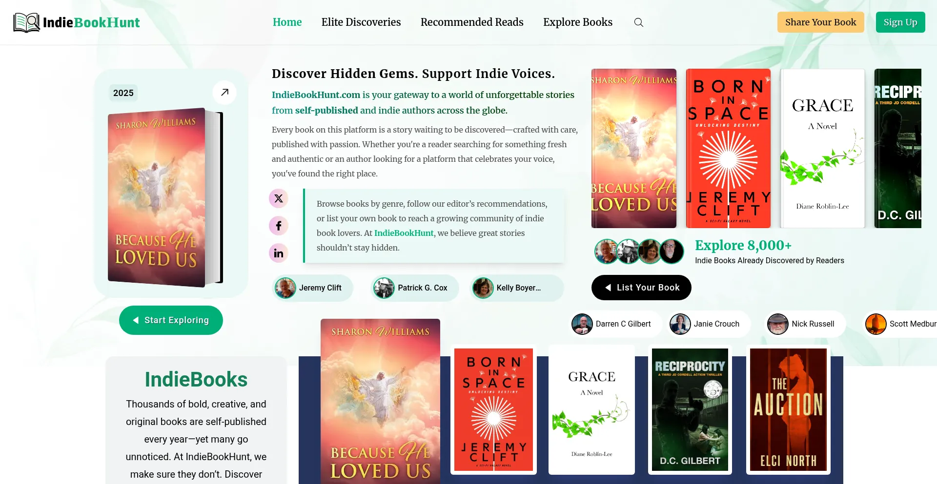 Website screenshot of Indiebookhunt.com