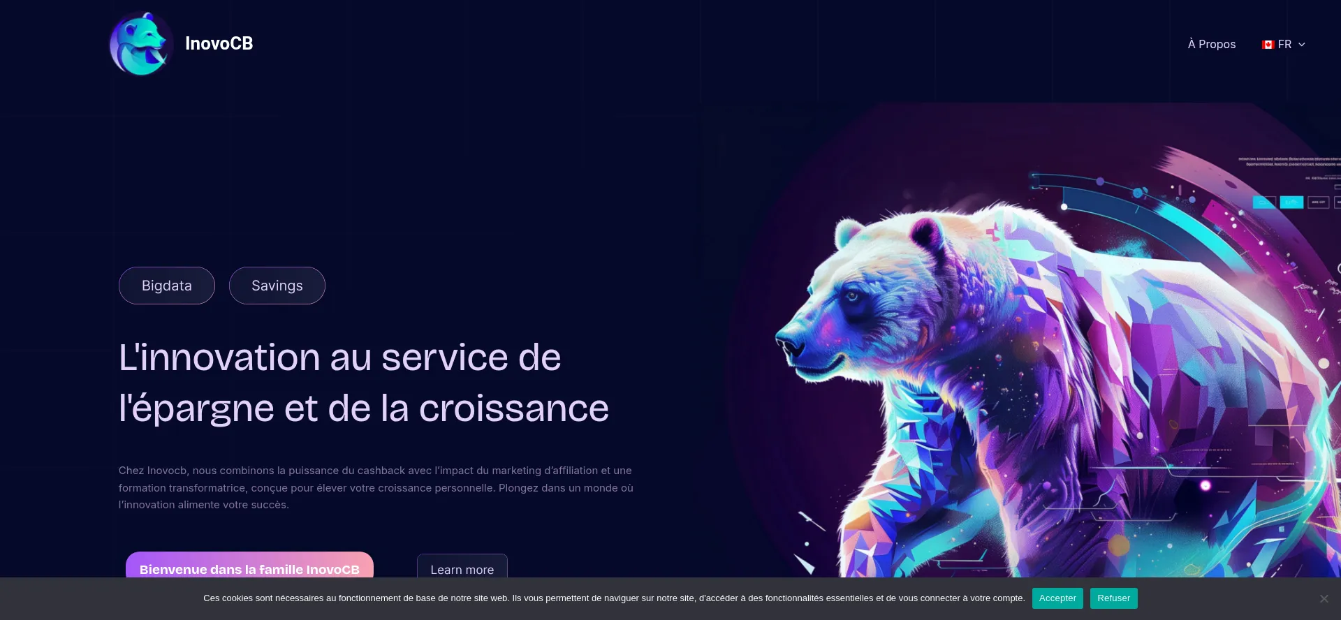 ¿És Seguro y Confiable Inovocb.com?