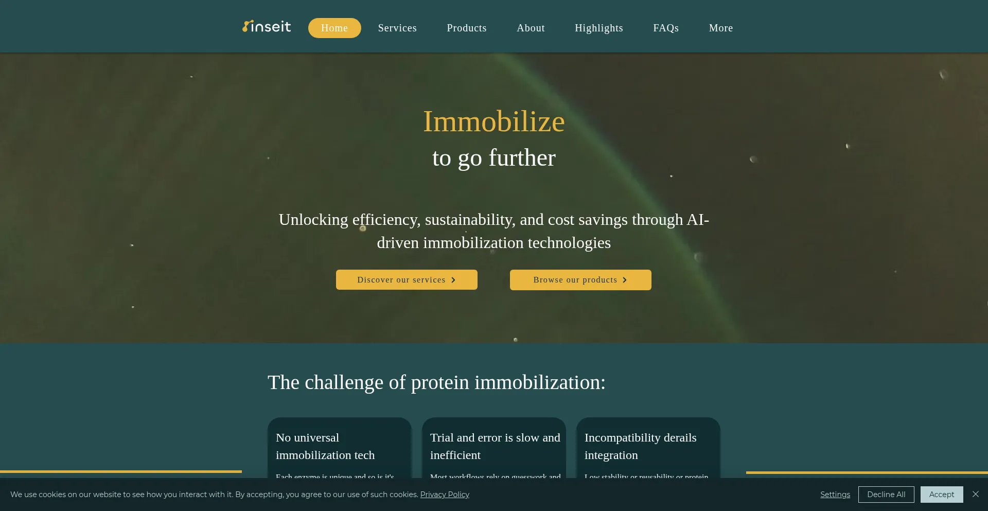 Website screenshot of Inseit.ch
