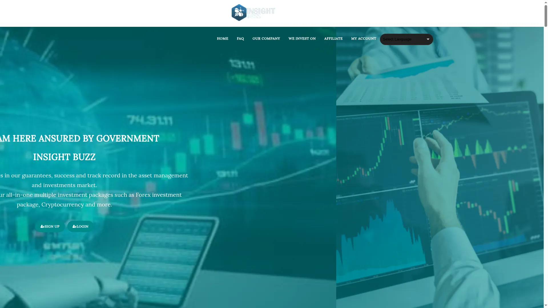 Insights-buzz.com