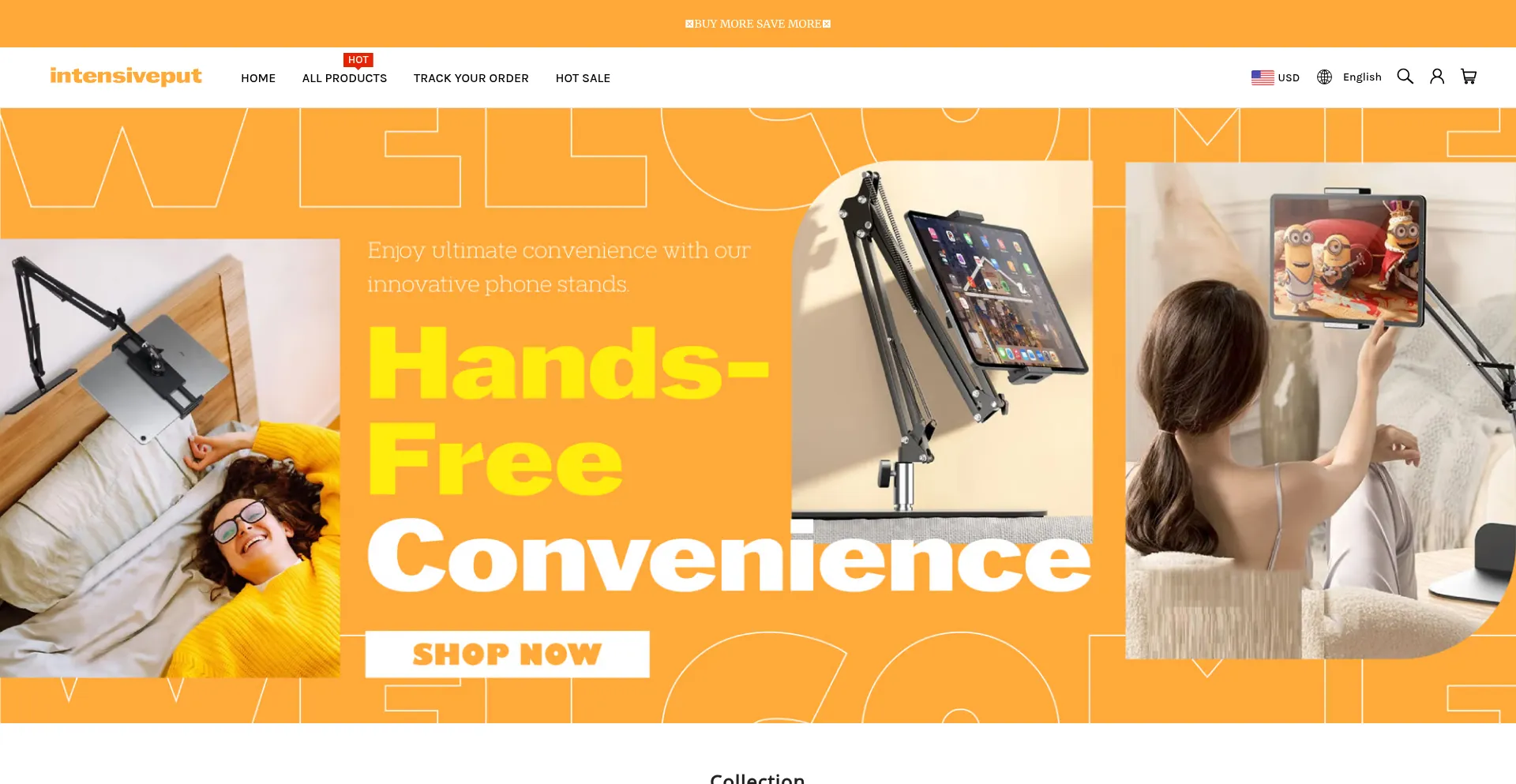 Website screenshot of Intensiveput.com