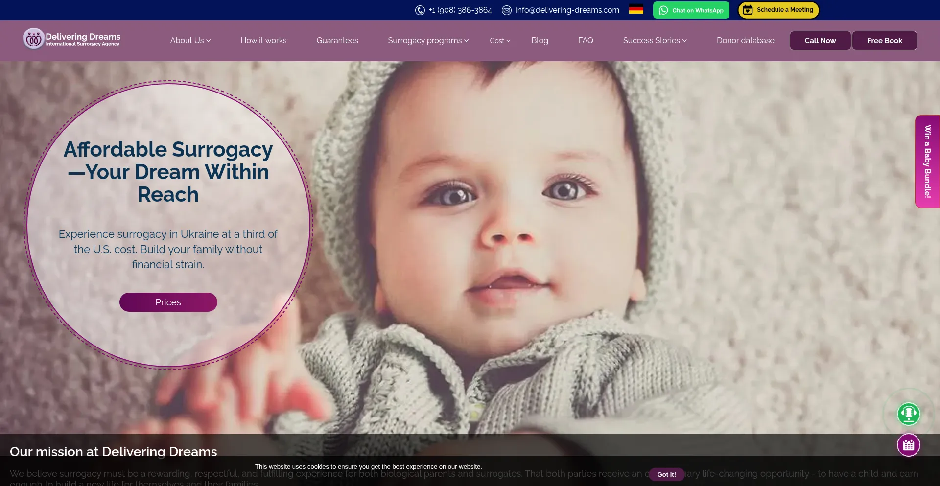 International-surrogacy.com