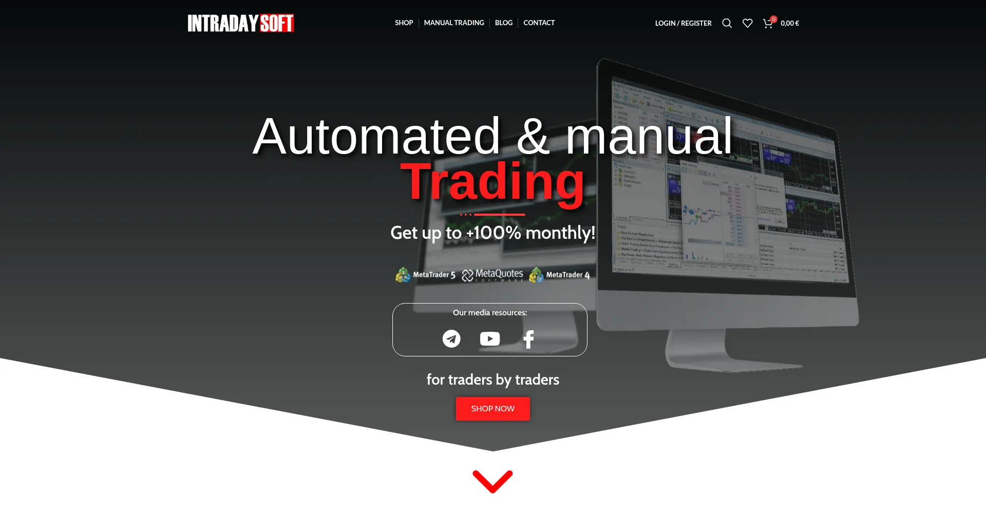 Website screenshot of Intradaysoft.com