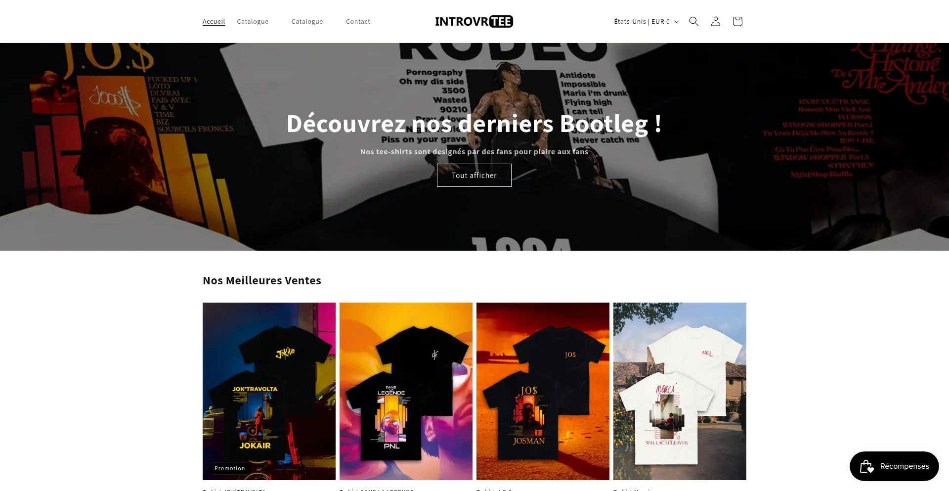 Website screenshot of Introvrtee.com