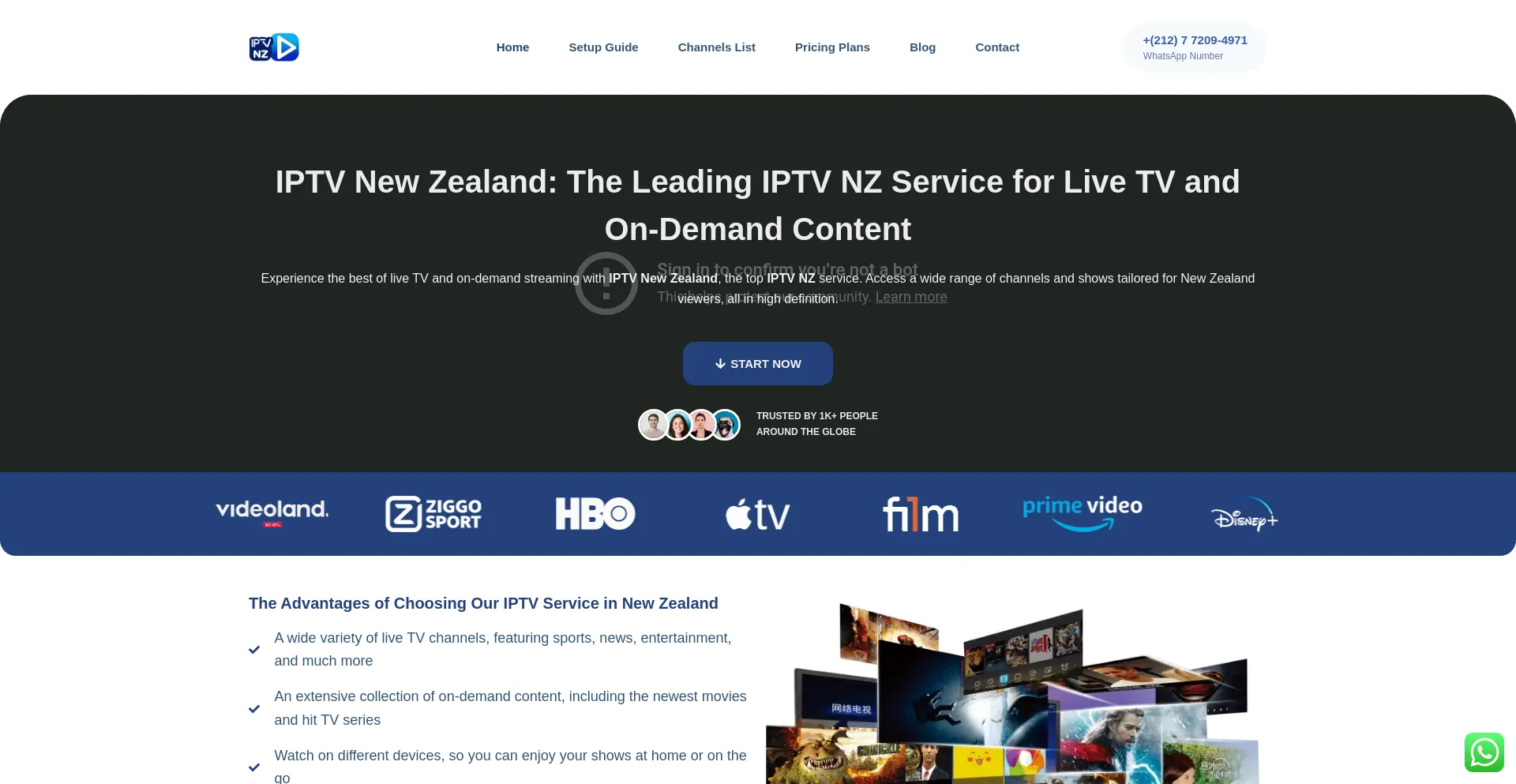 Website screenshot of Iptv.nz