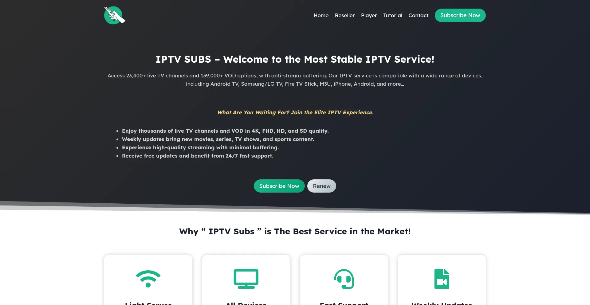 Website screenshot of Iptvsubs.pro