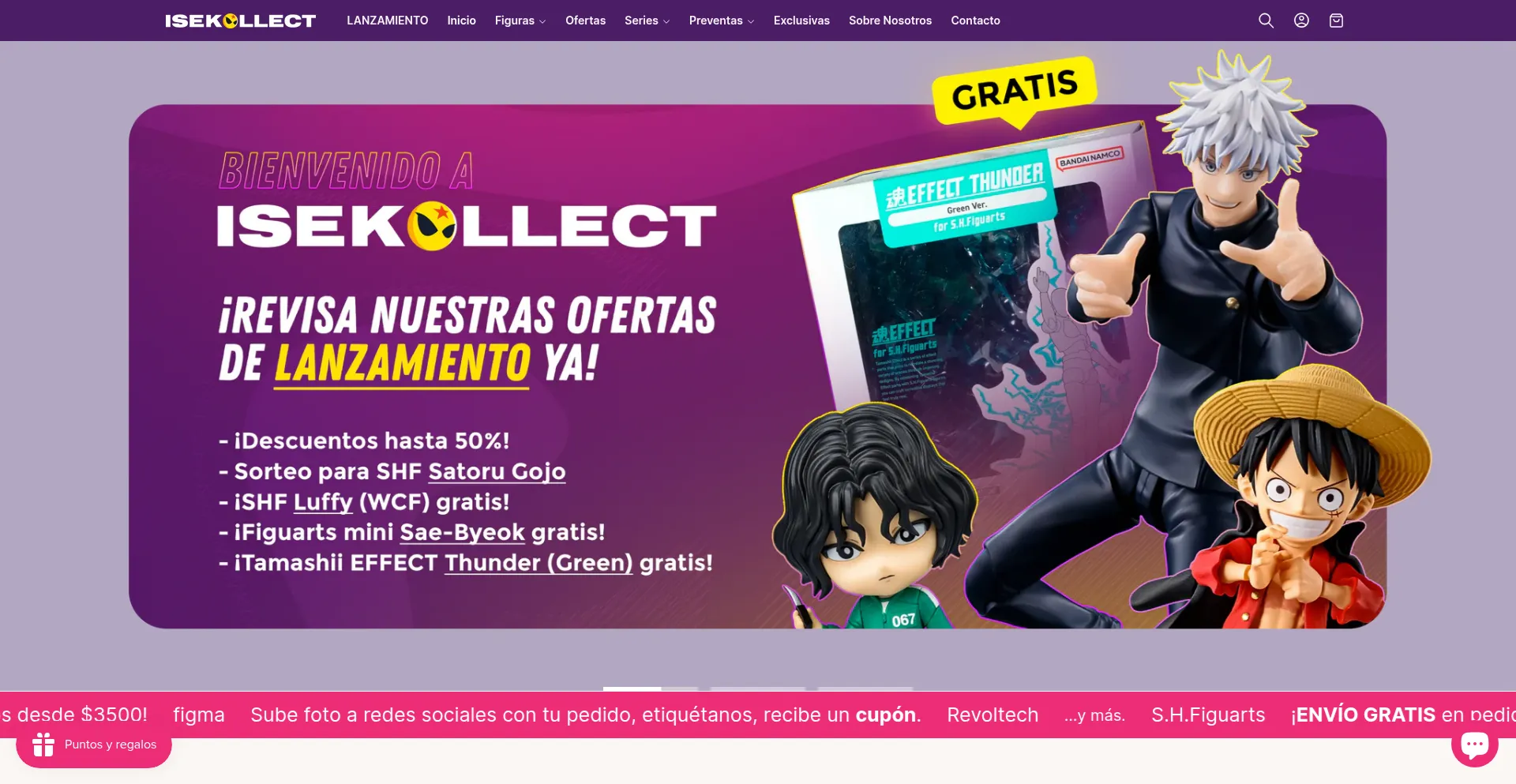 Website screenshot of Isekollect.com.mx