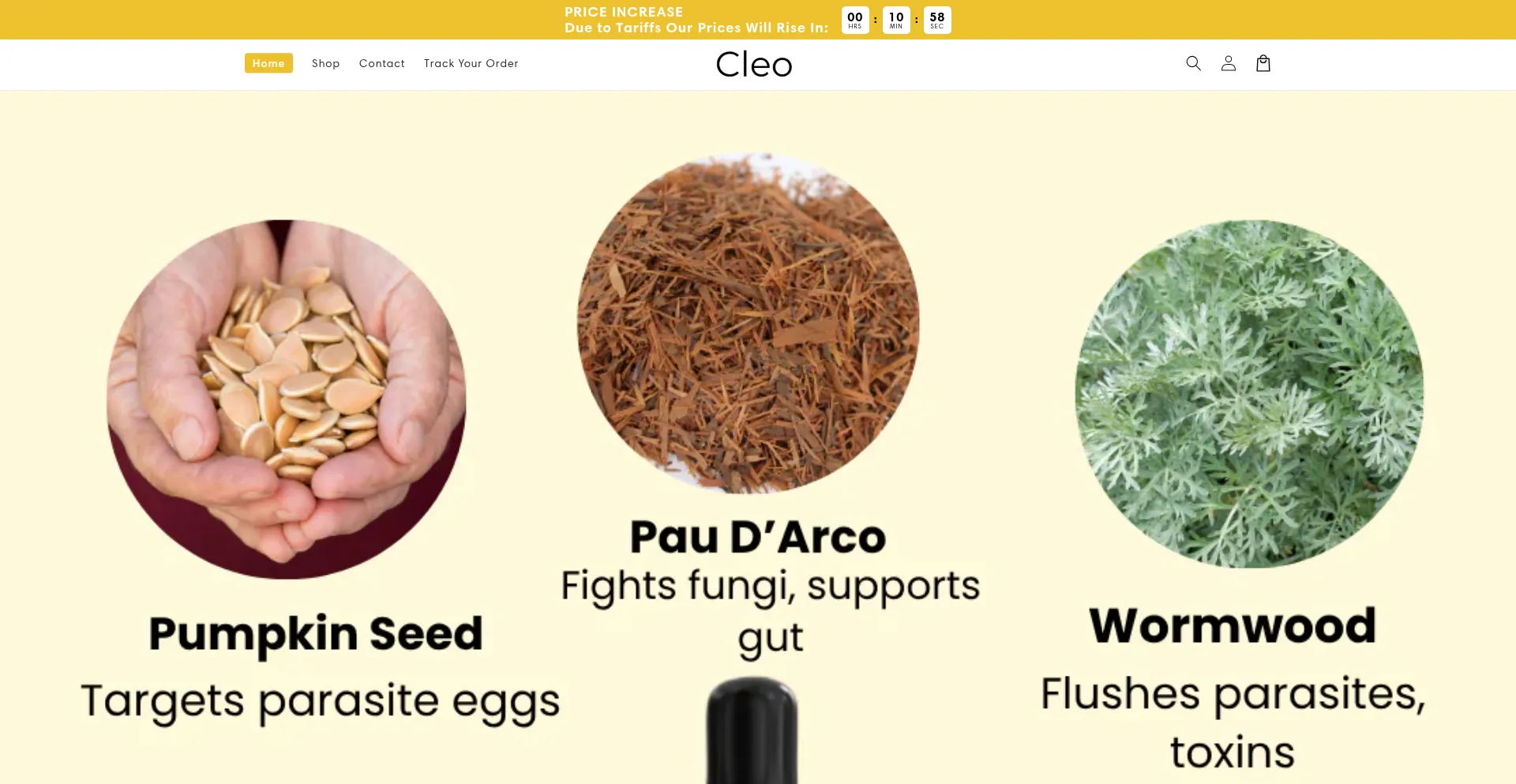 Website screenshot of Itrycleo.com