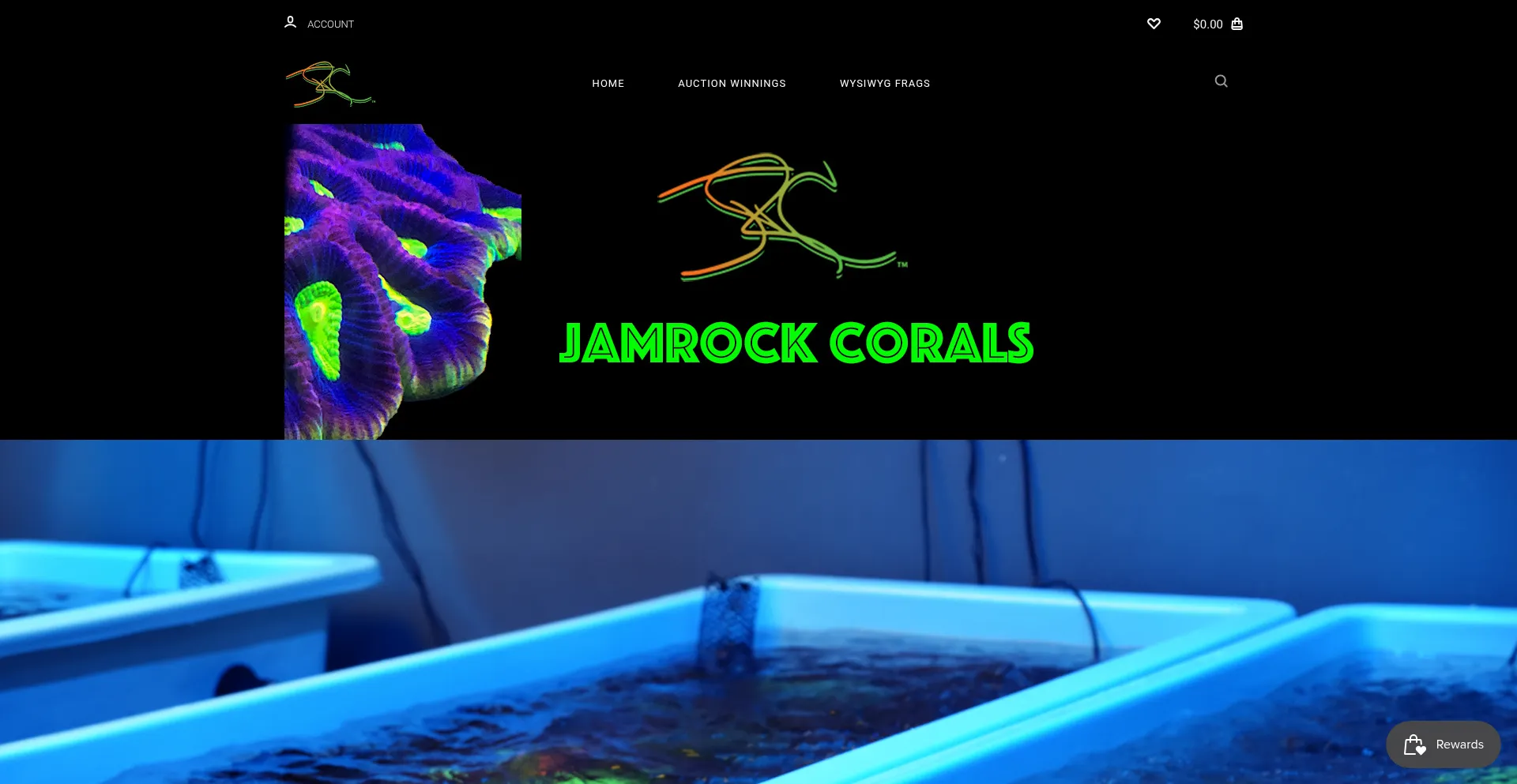 Website screenshot of Jamrockcorals.com