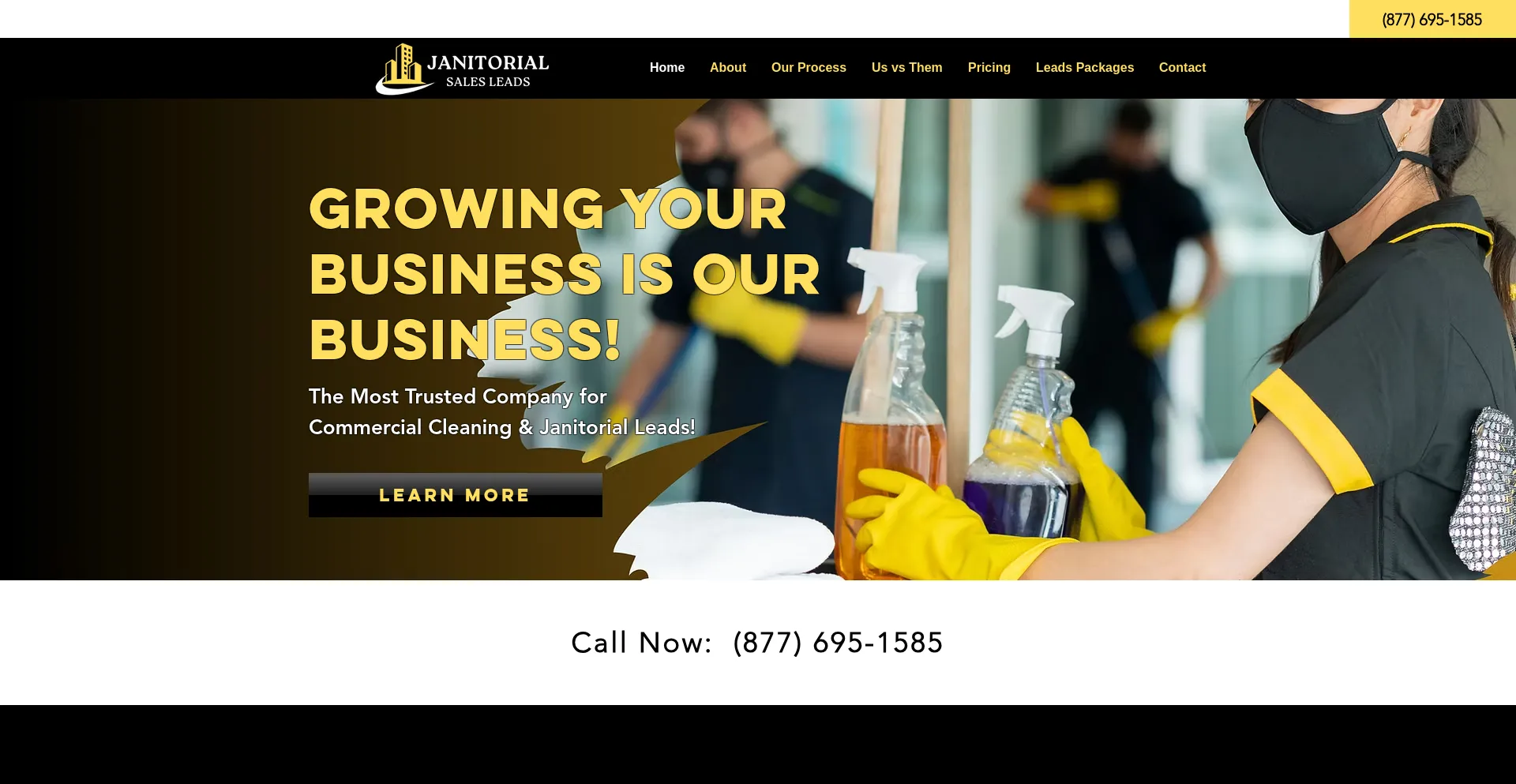 Website screenshot of Janitorialsalesleads.com