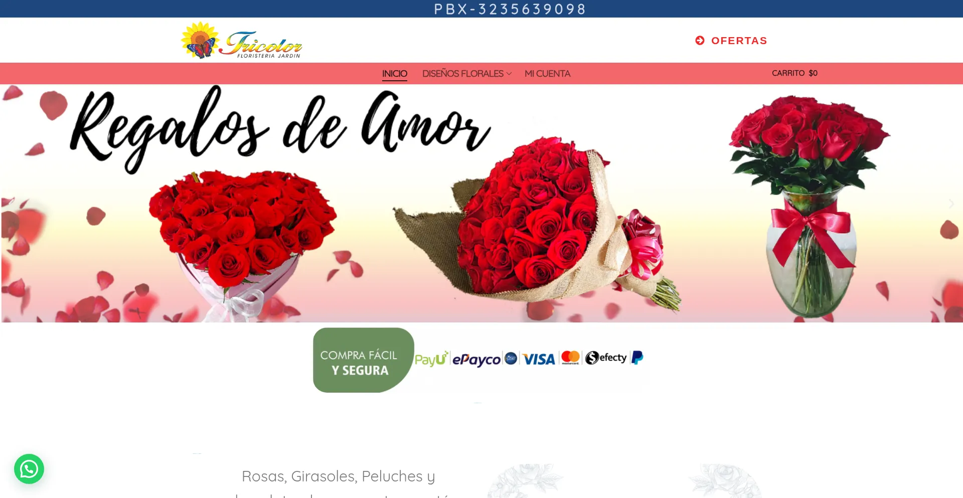 ¿És Seguro y Confiable Jardintricolor.com?