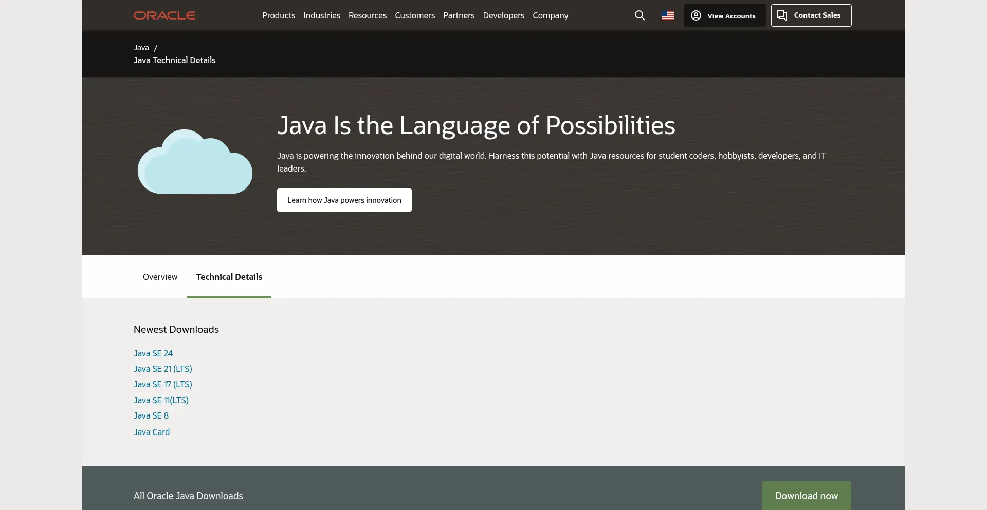 Website screenshot of Java.sun.com