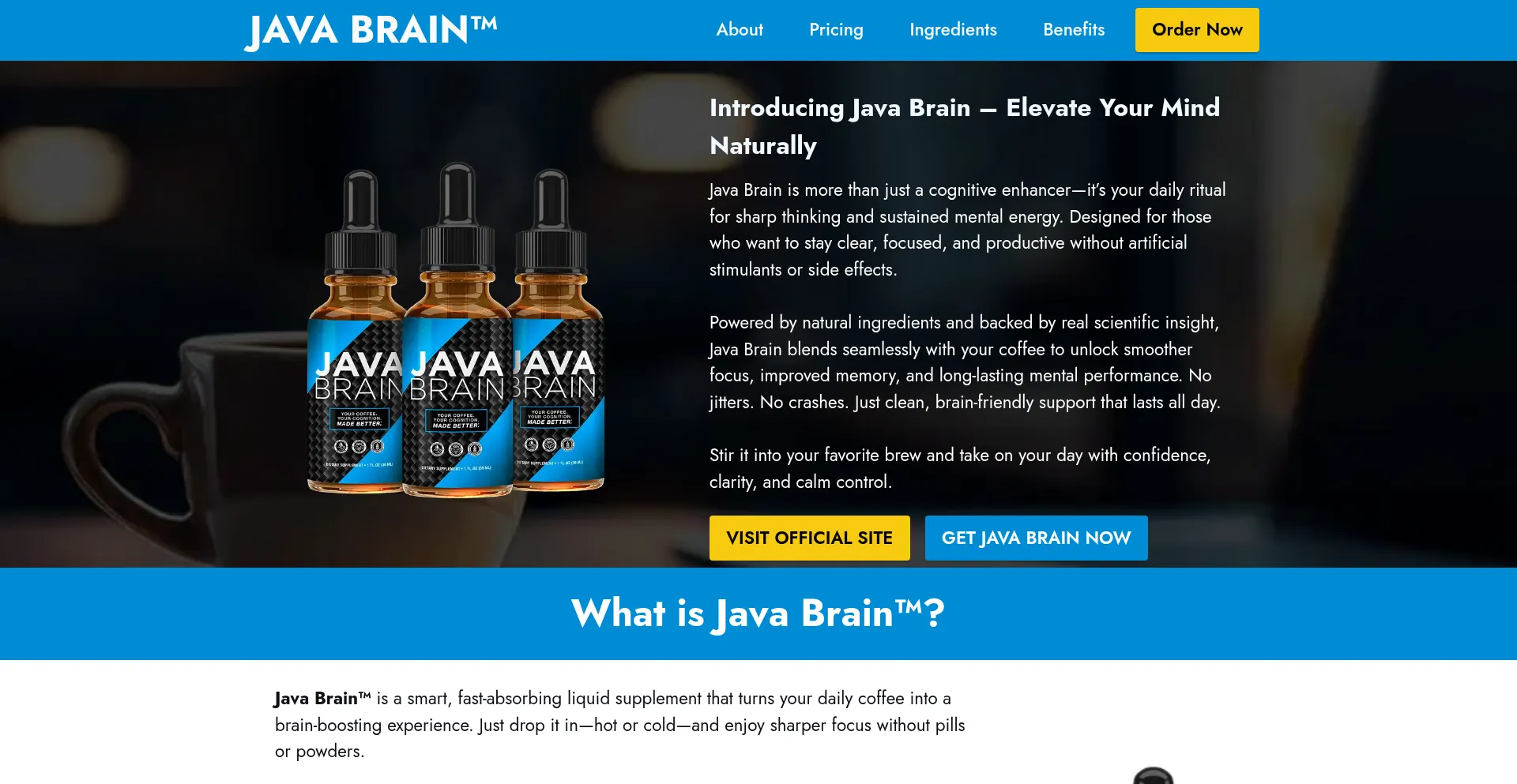 ¿És Seguro y Confiable Java-javabrain.com?