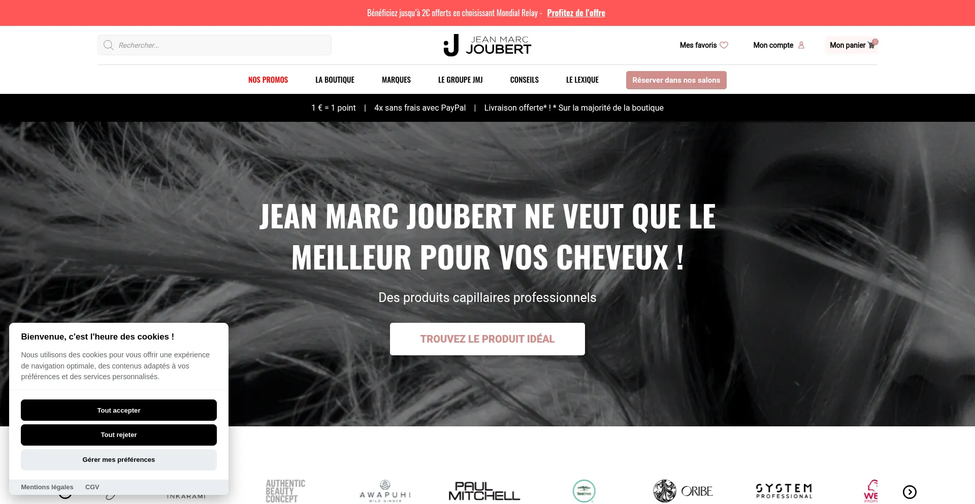 Website screenshot of Jeanmarcjoubert.com