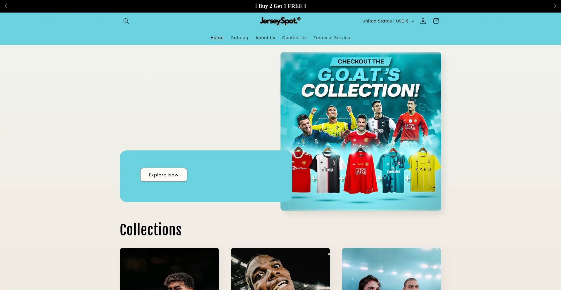 Website screenshot of Jerseyspot.net