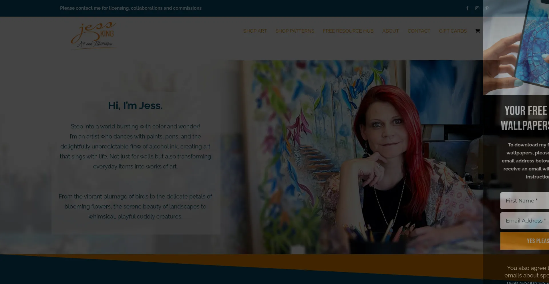 ¿És Seguro y Confiable Jessking.com.au?
