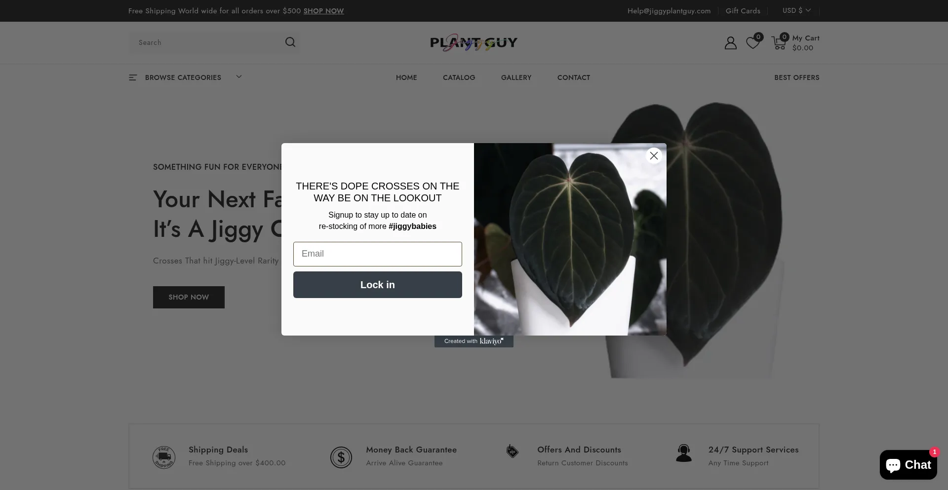 ¿És Seguro y Confiable Jiggyplantguy.com?