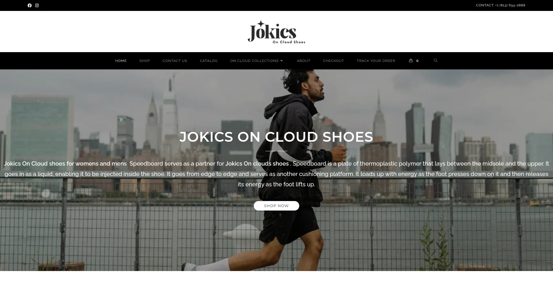 Website screenshot of Jokics.com