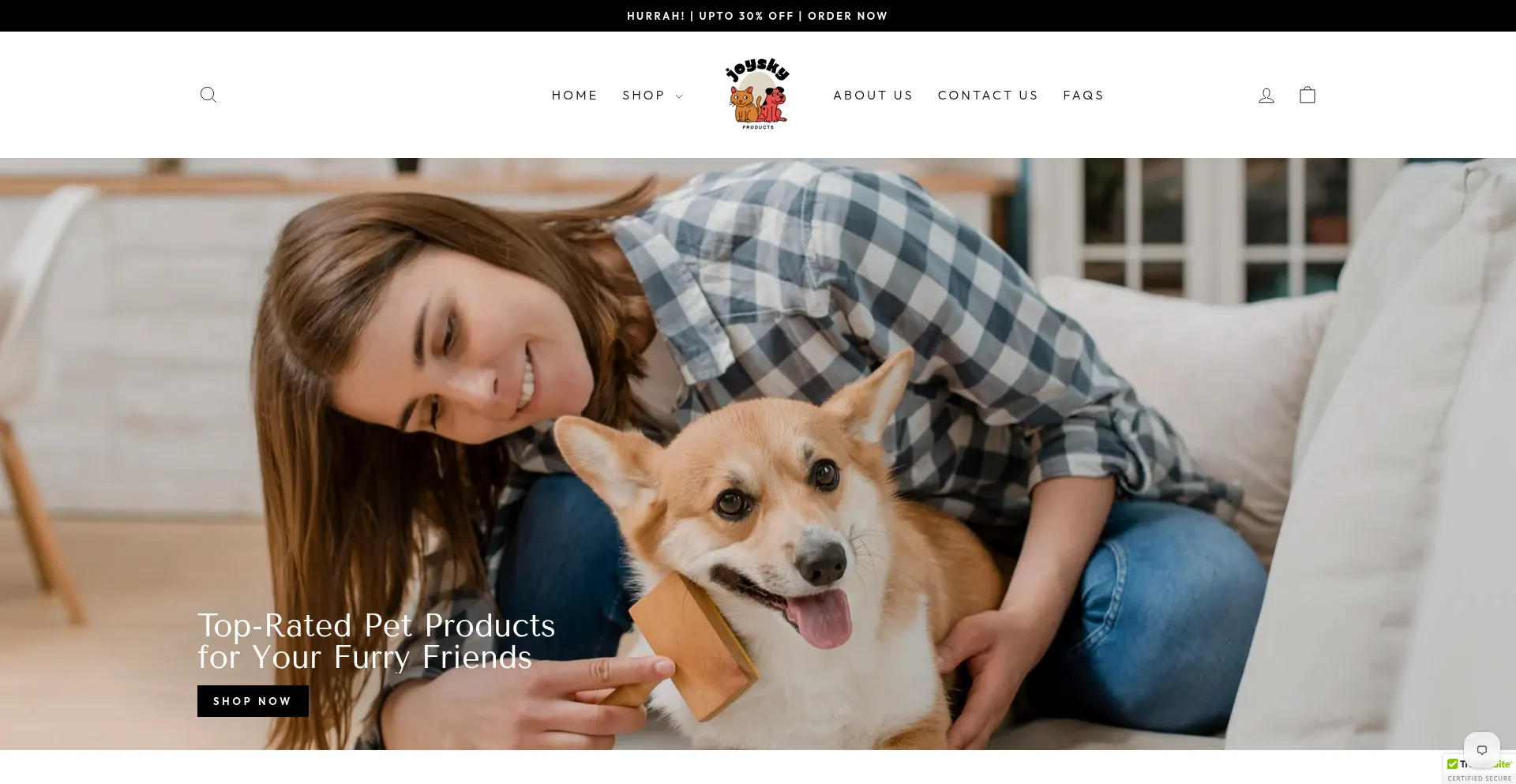 Joyskyproducts.com