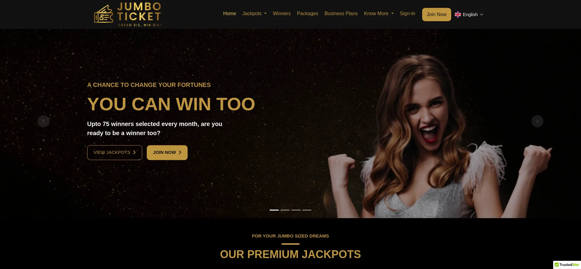 Website screenshot of Jumboticket.network