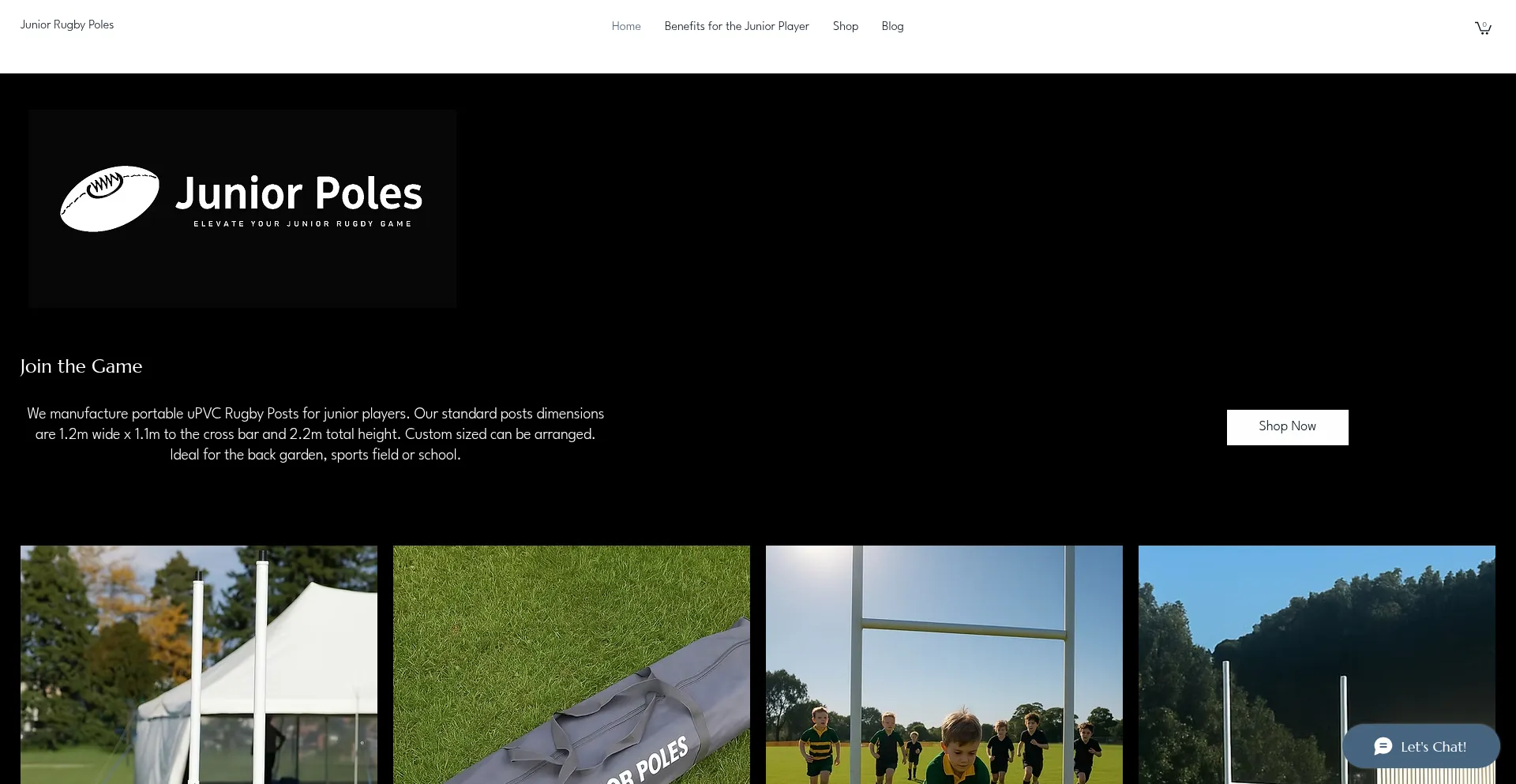 Website screenshot of Juniorpoles.com