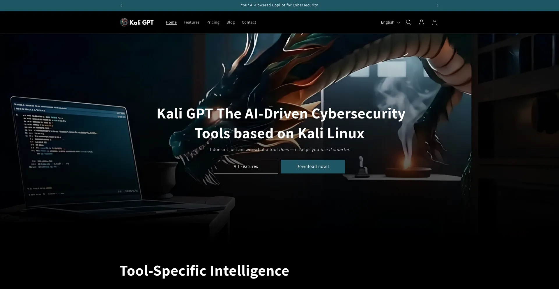 Website screenshot of Kali-gpt.com