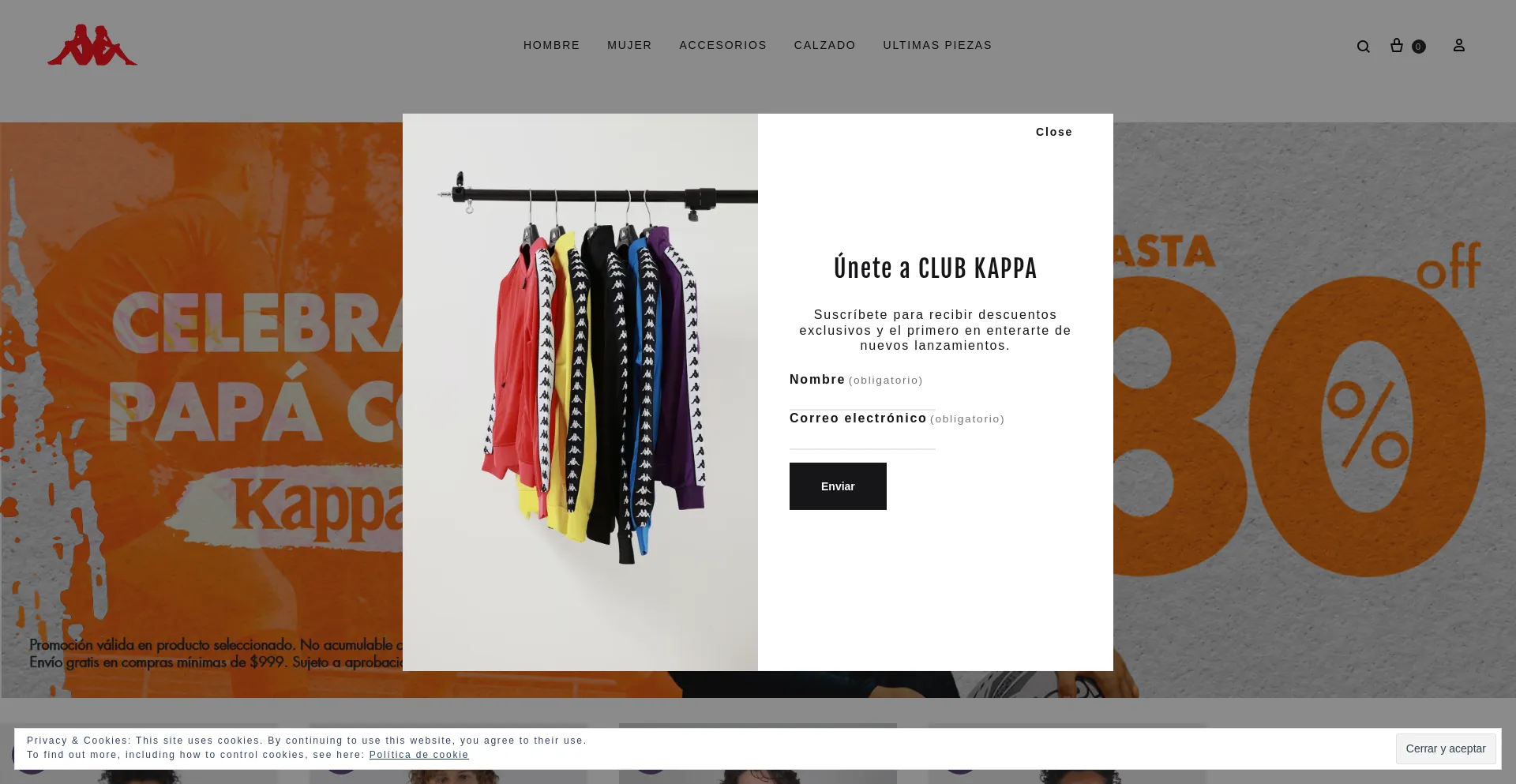 Website screenshot of Kappamex.com