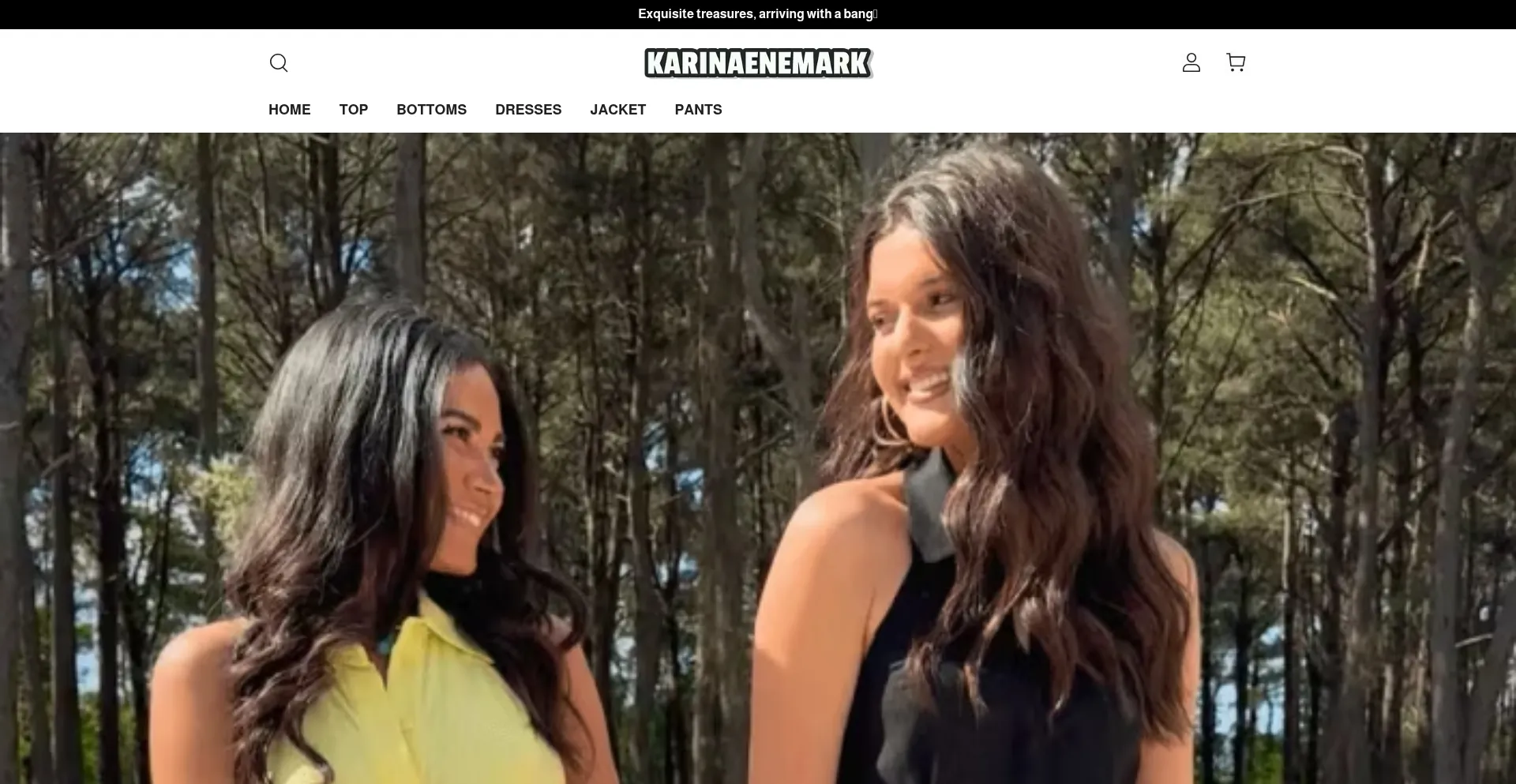 Karinaenemark.com