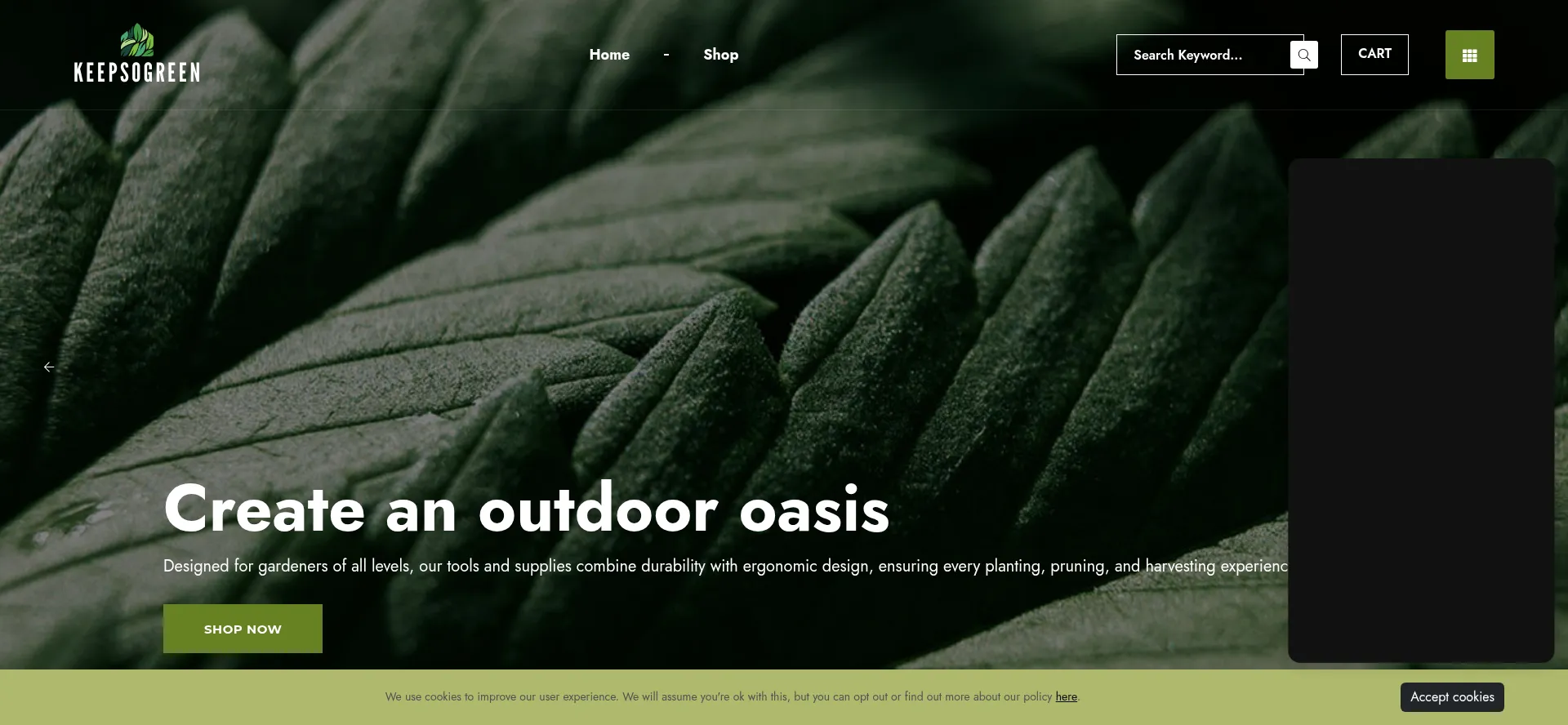 Website screenshot of Keepsogreen.com