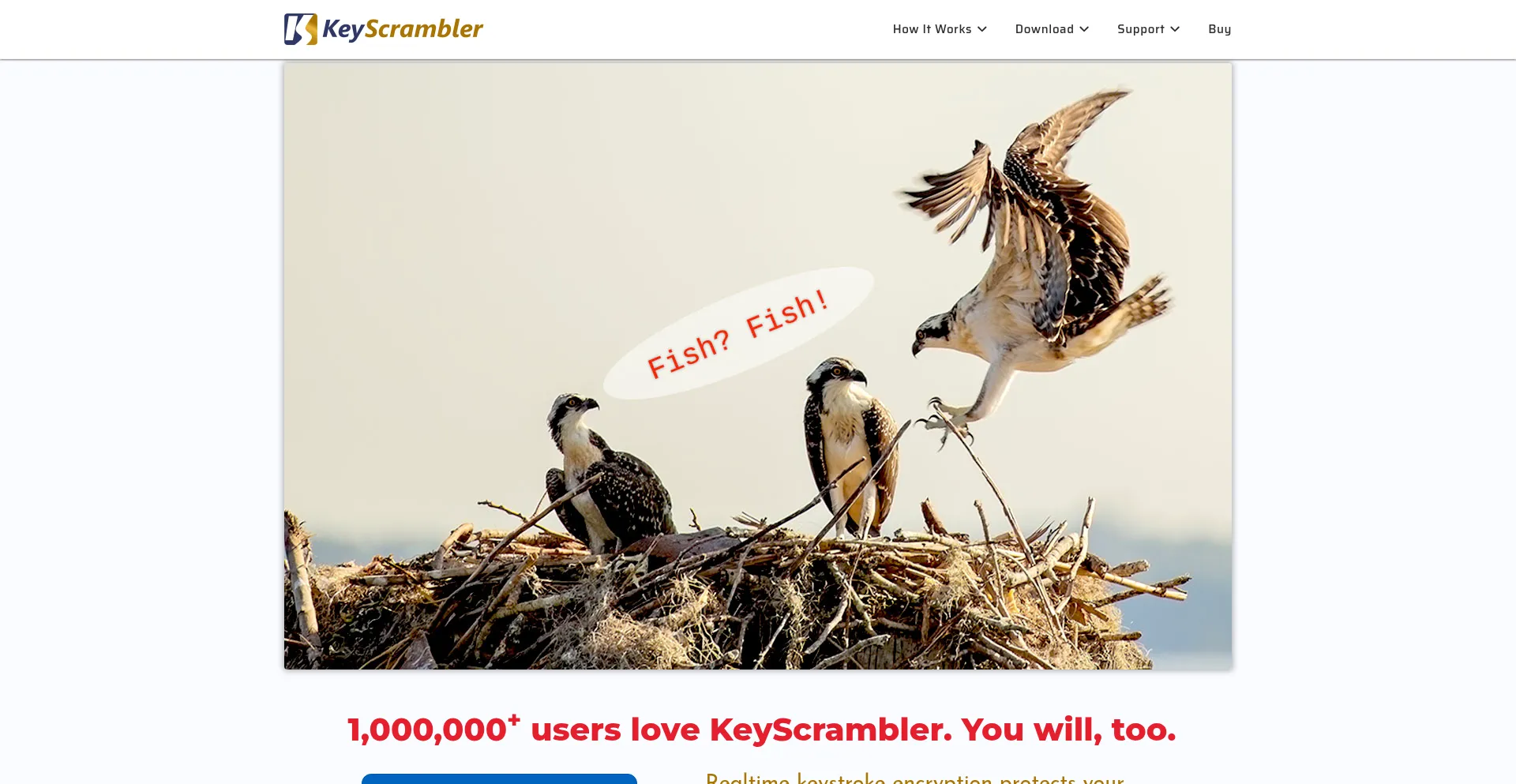 Website screenshot of Keyscrambler.com