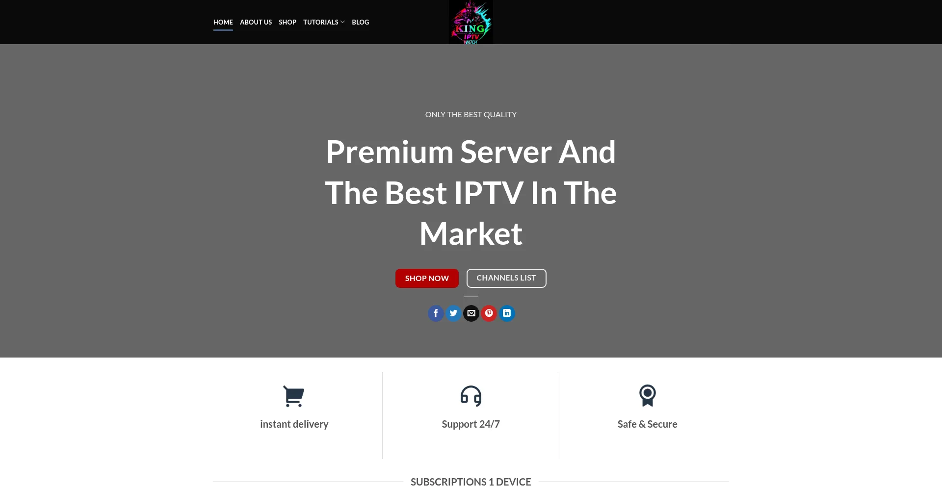 Website screenshot of Kingipwatch.com