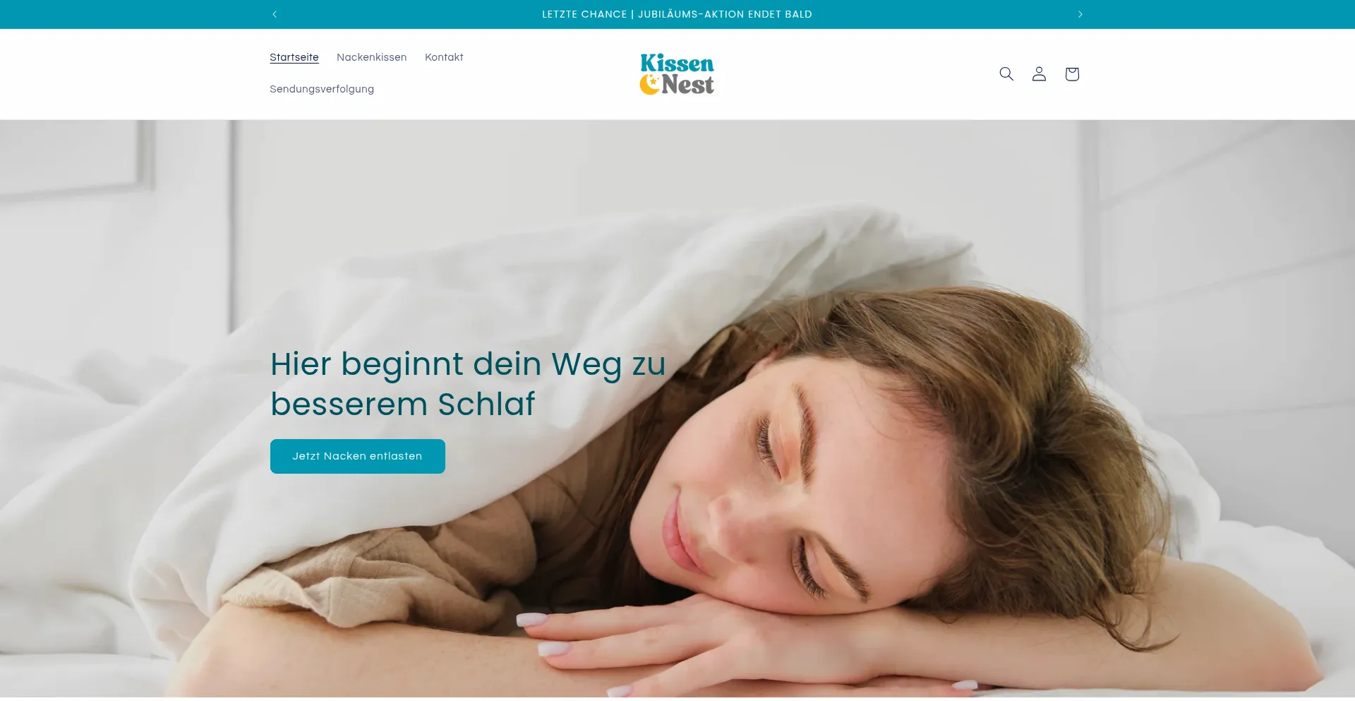 Website screenshot of Kissennest.de