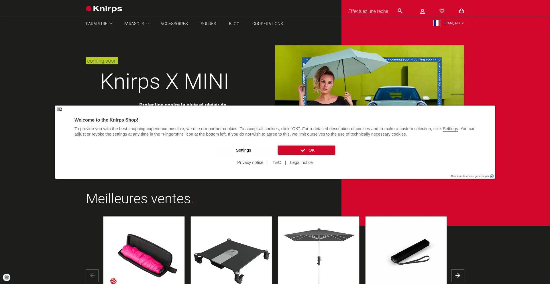 ¿És Seguro y Confiable Knirps.fr?