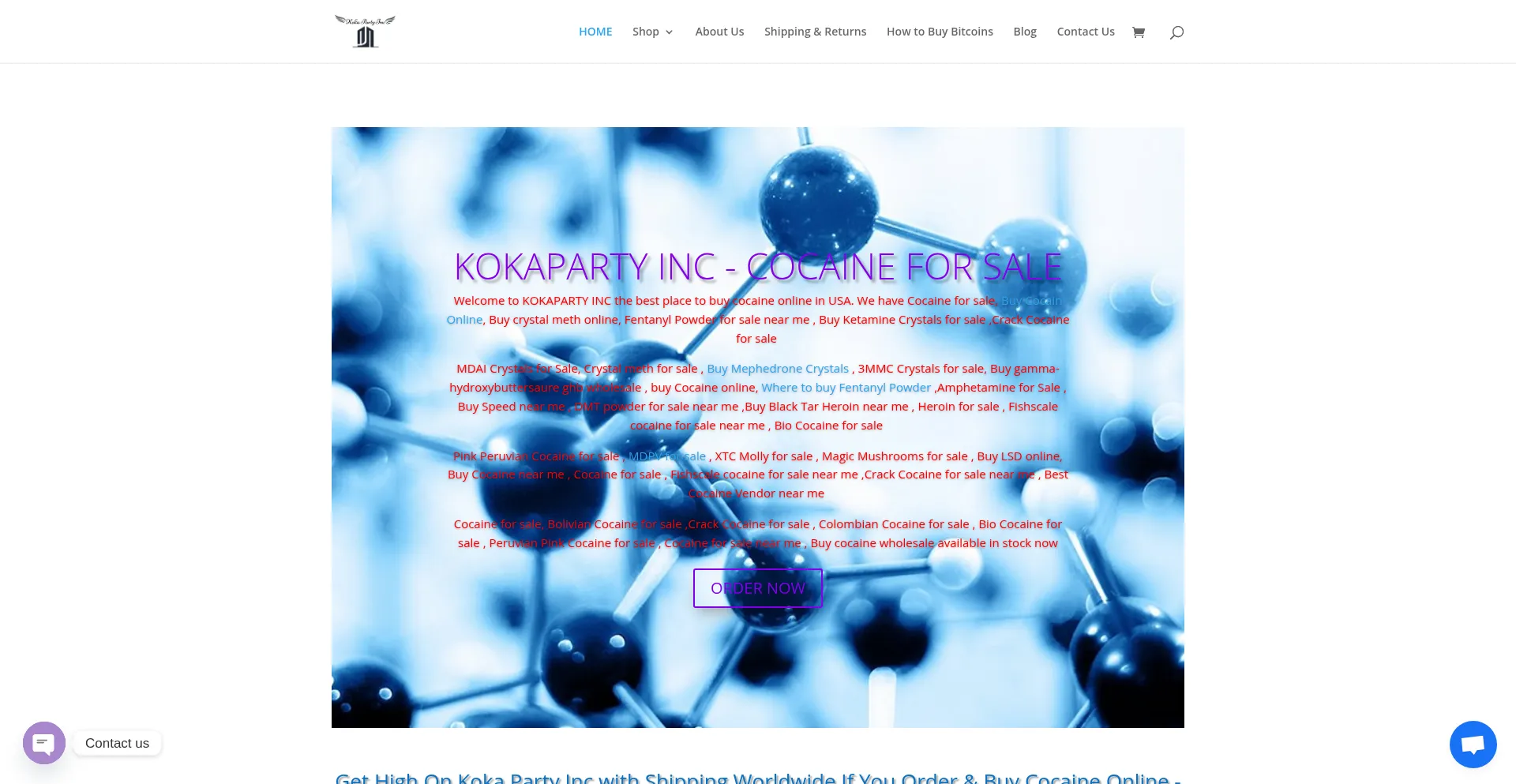 Website screenshot of Kokapartyinc.io