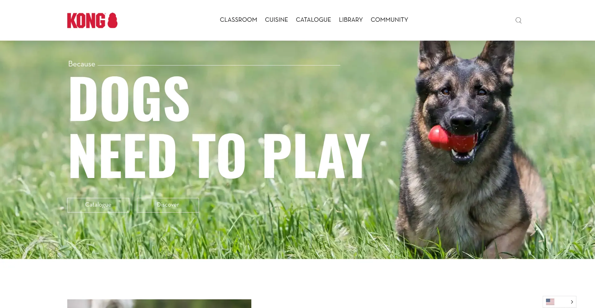 Website screenshot of Kongcompany.com