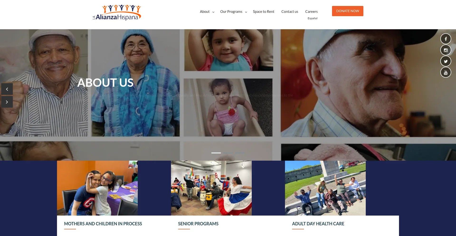 Website screenshot of Laalianza.org