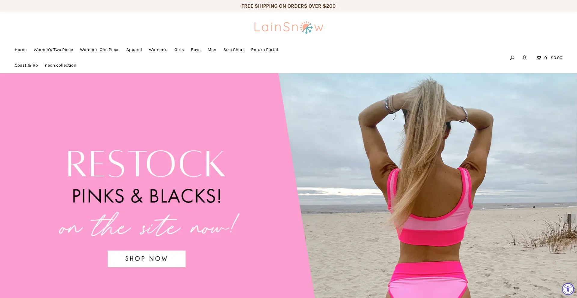 Website screenshot of Lainsnow.com