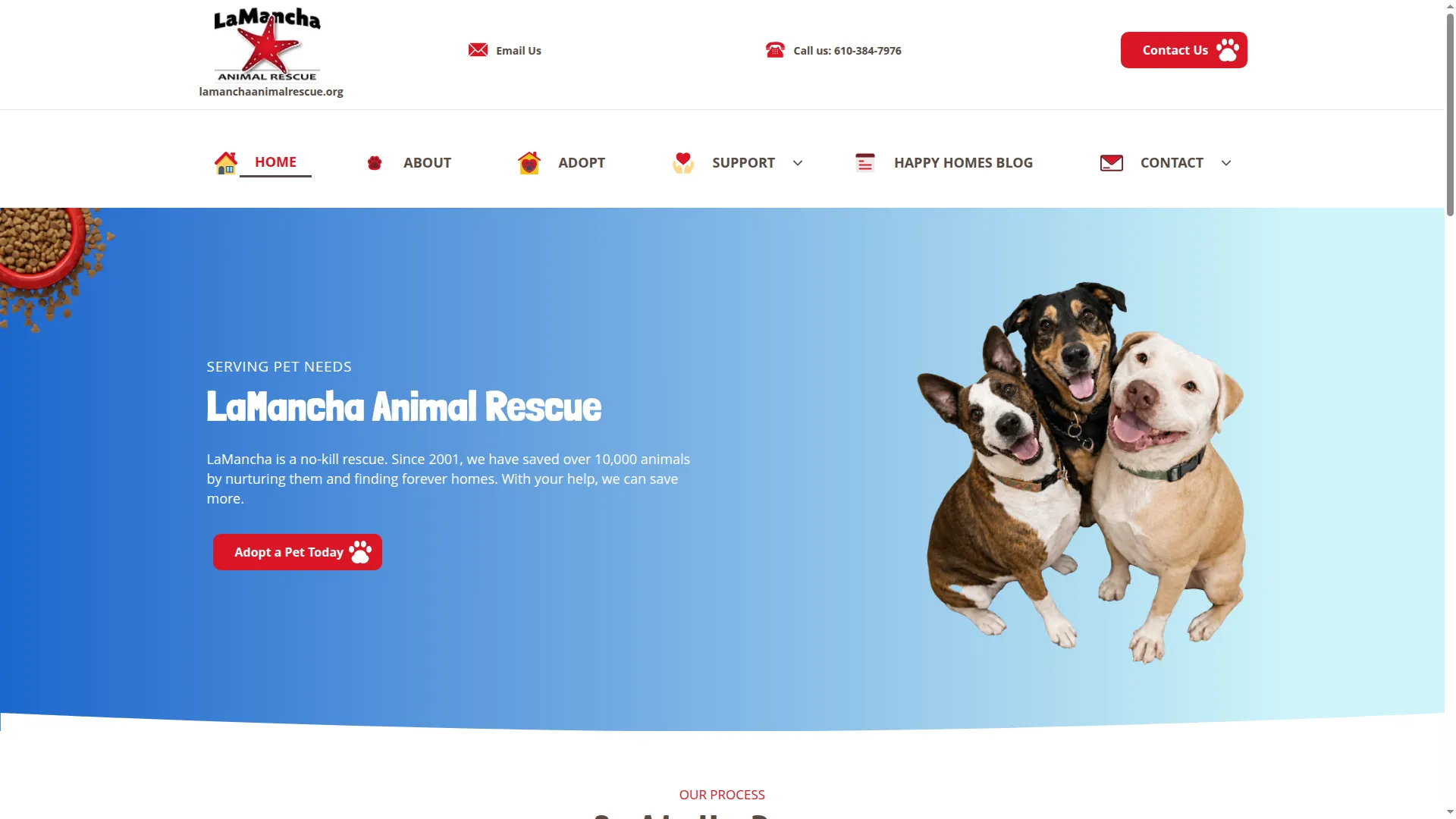 Lamanchaanimalrescue.org