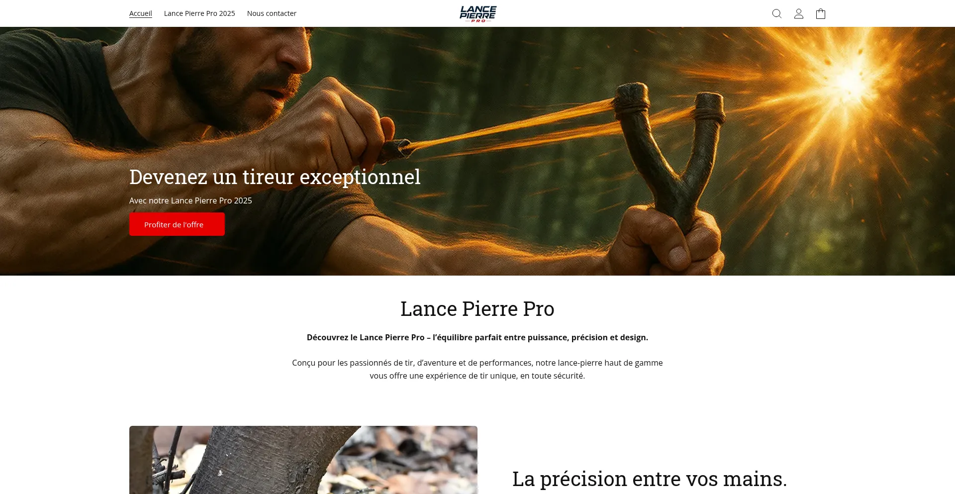 Website screenshot of Lance-pierre-pro.com