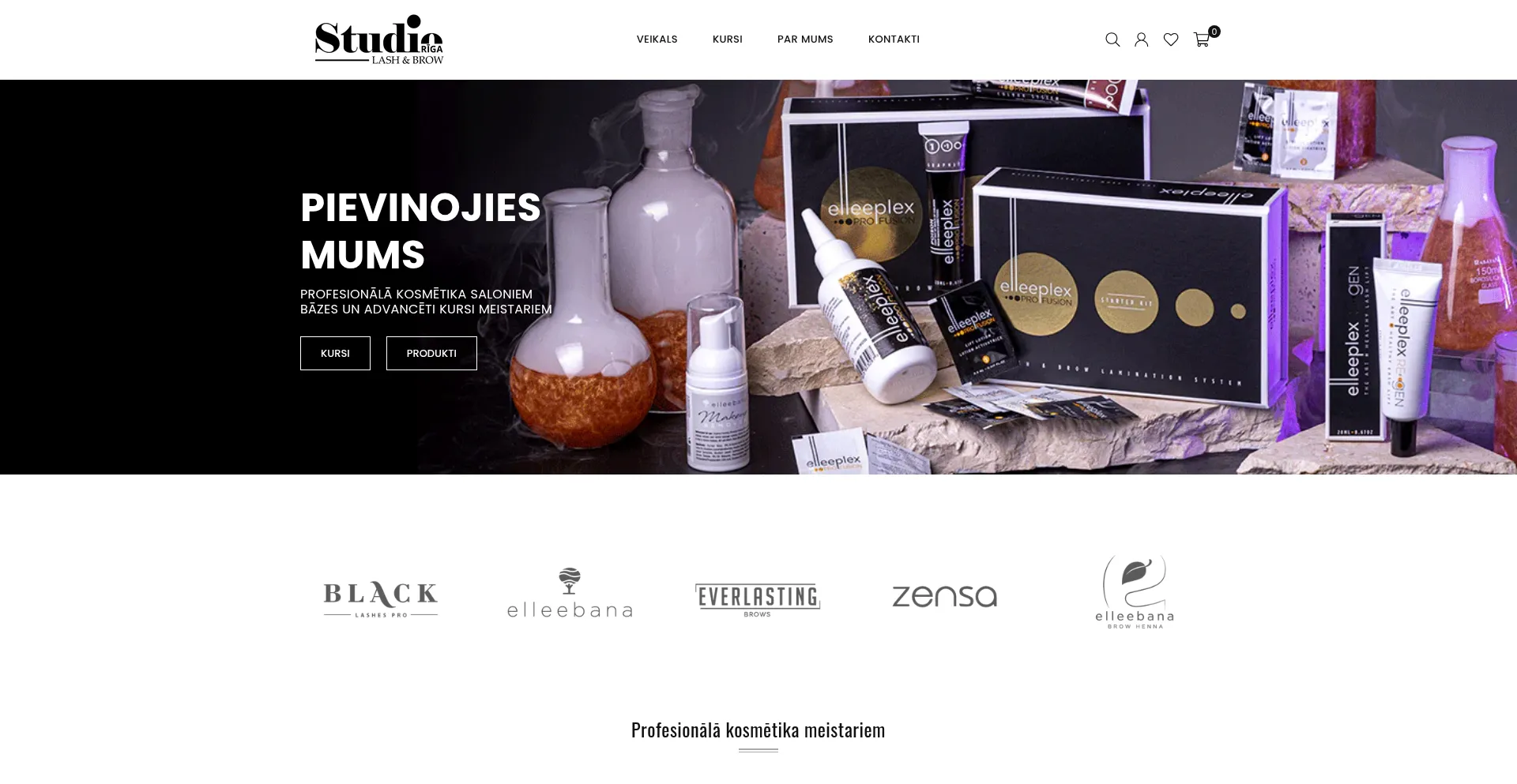 Website screenshot of Lashandbrow.lv