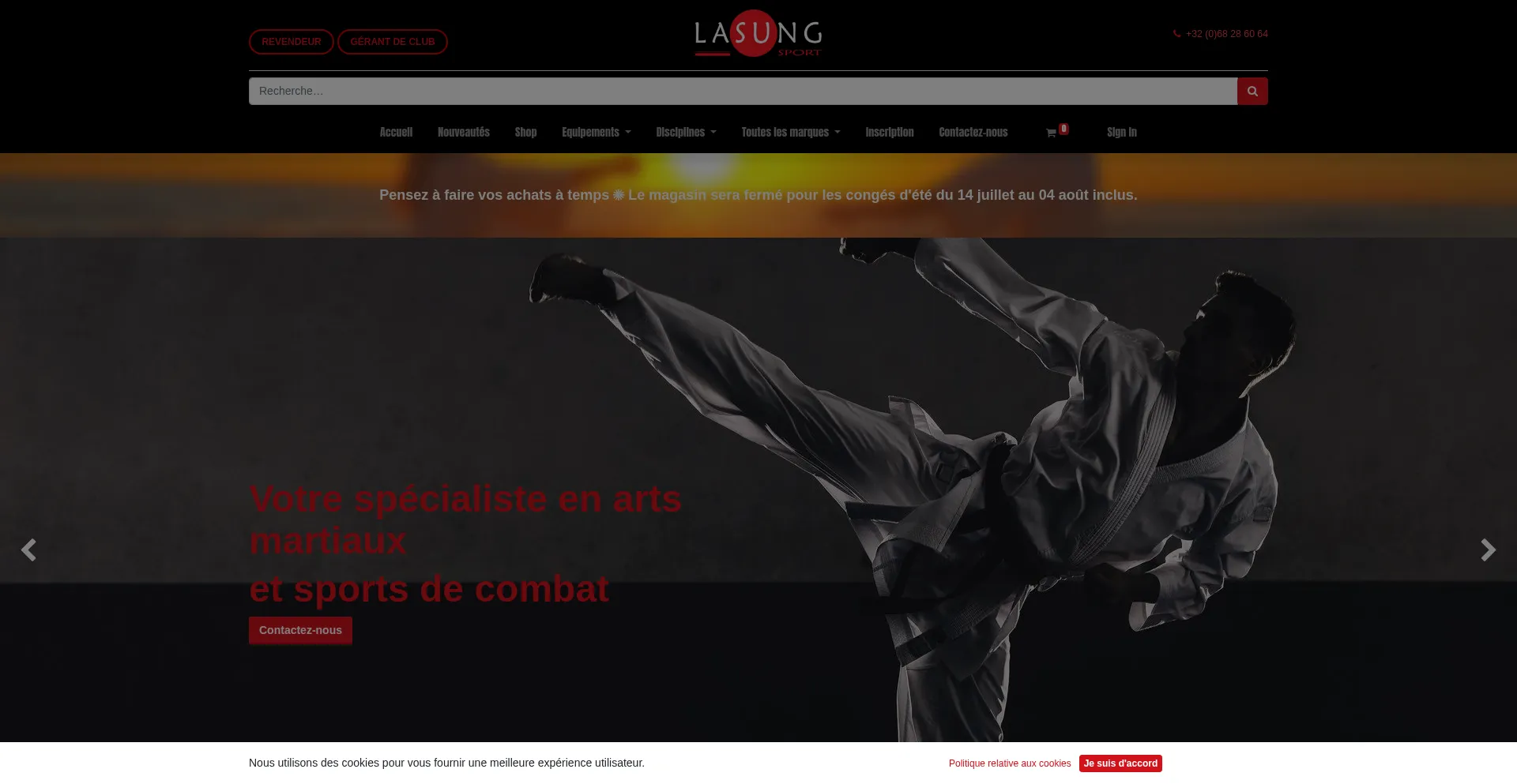Website screenshot of Lasungsport.com