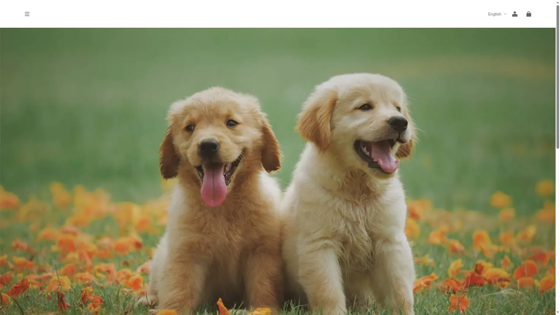 Lattafa-sale.com