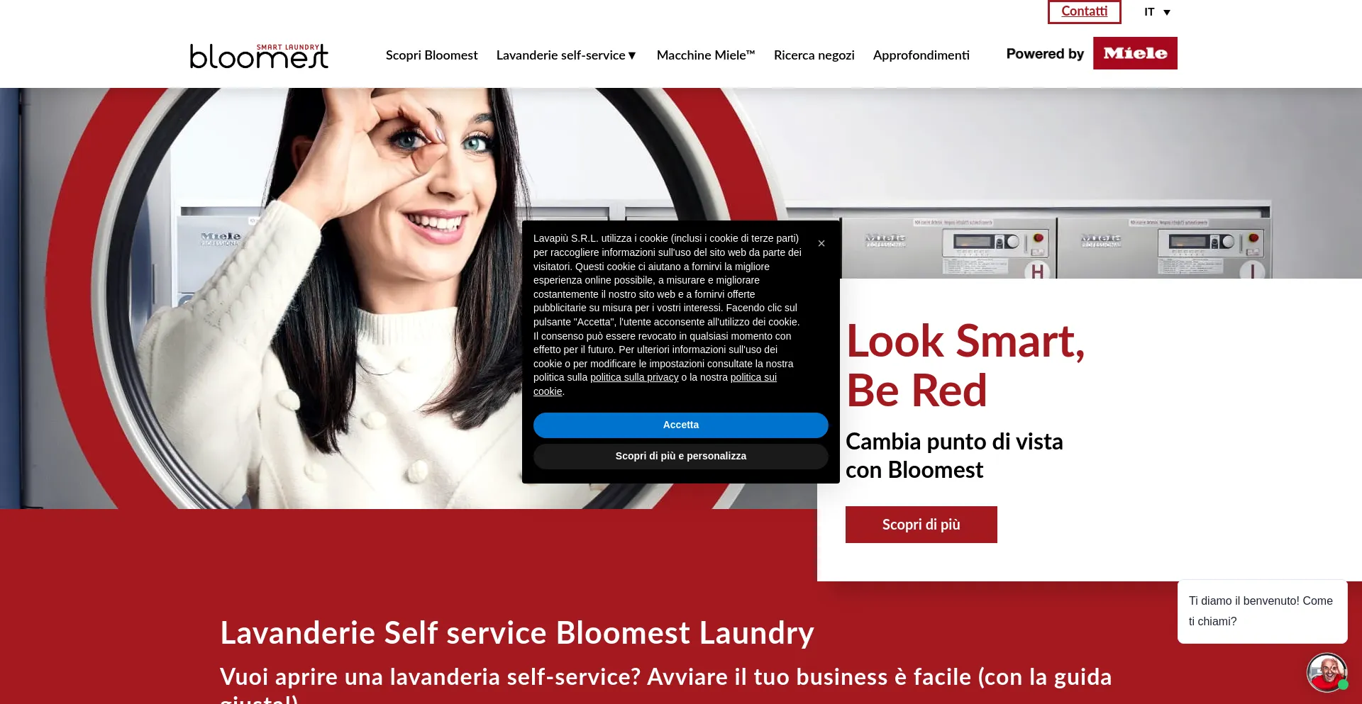 Website screenshot of Lavapiu.it