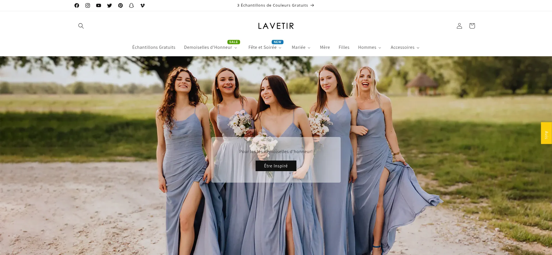 Website screenshot of Lavetir.fr