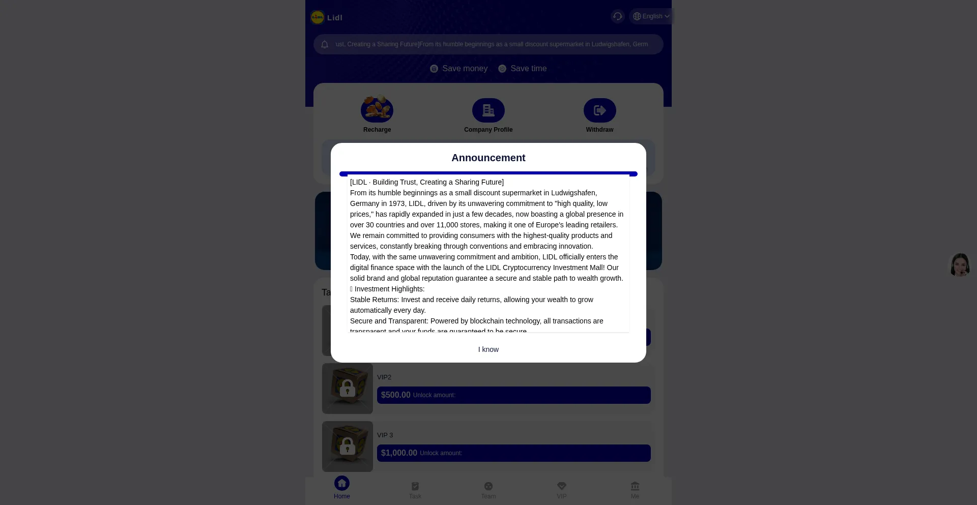 Website screenshot of Ldvc.top