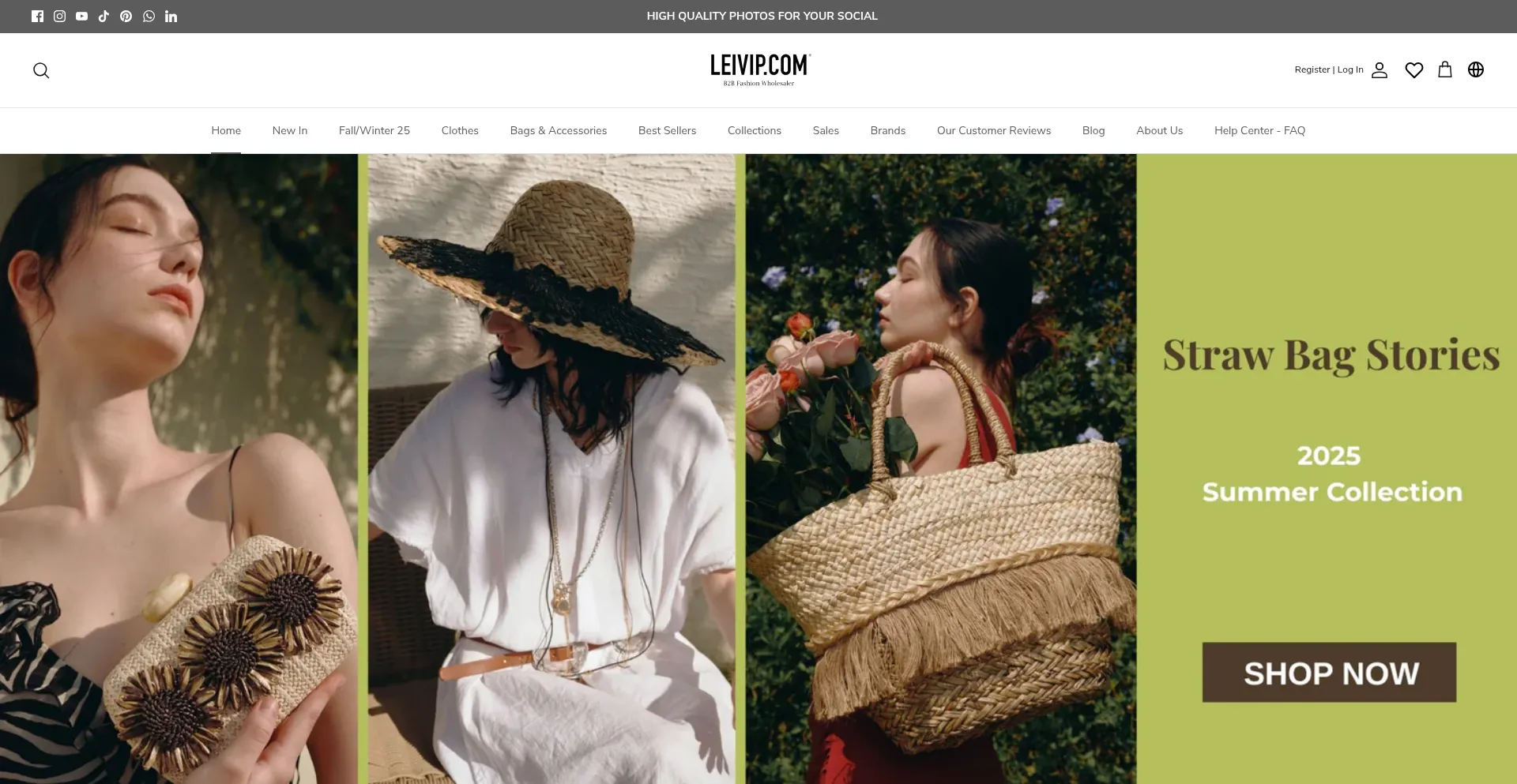 Website screenshot of Leivip.com