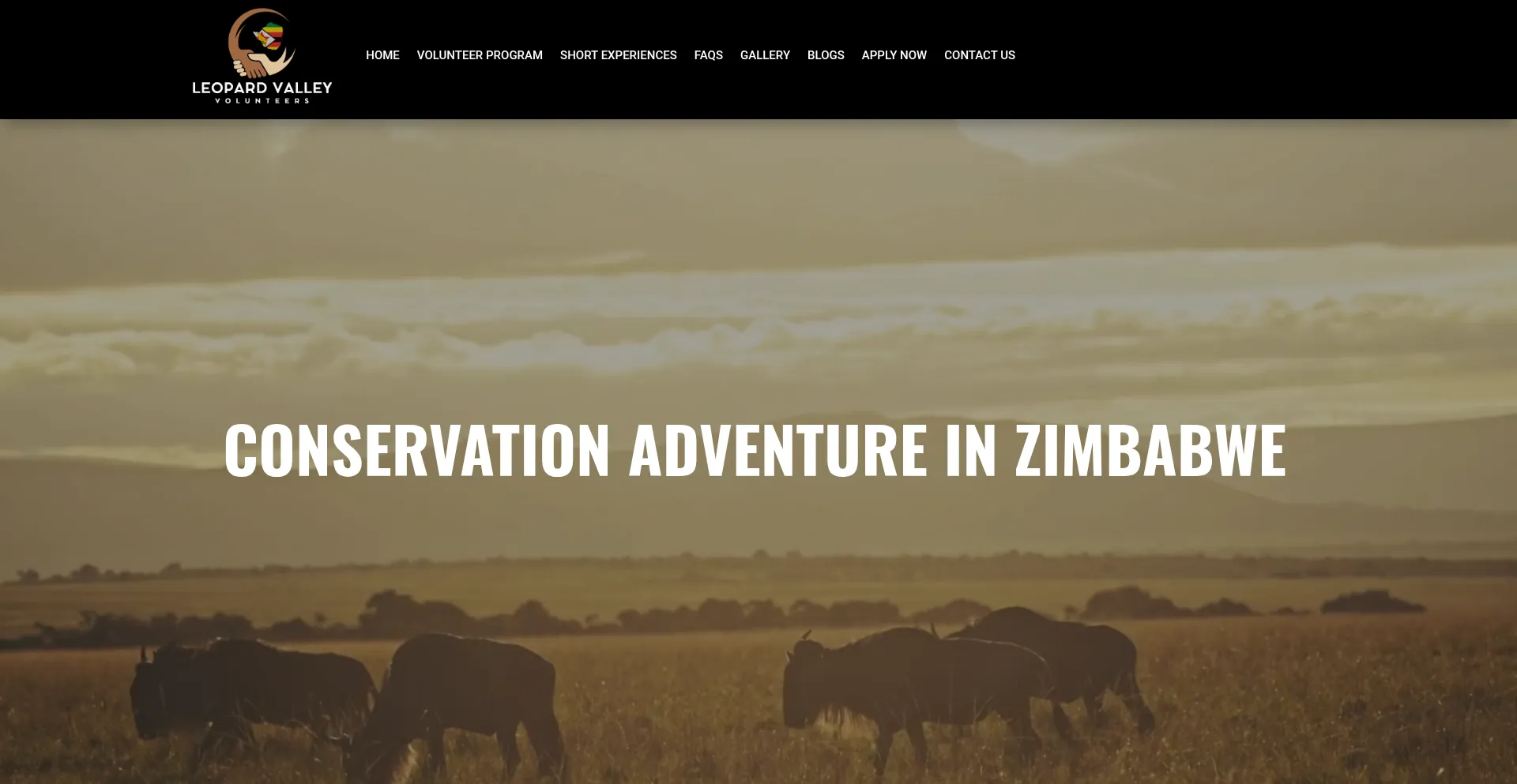 Leopardvalleyvolunteers.co.zw